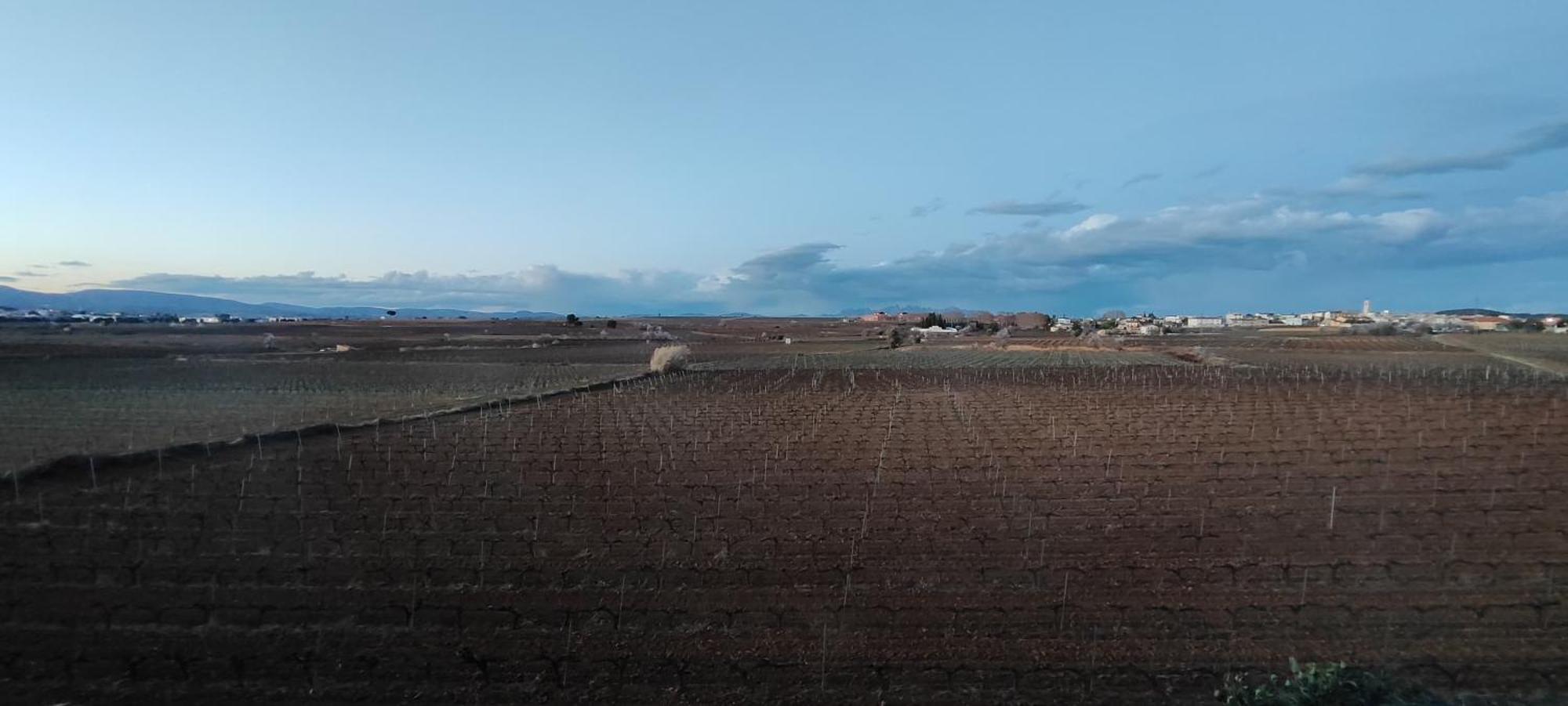 Cal Llop Villa Sant Cugat de Sesgarrigues Buitenkant foto