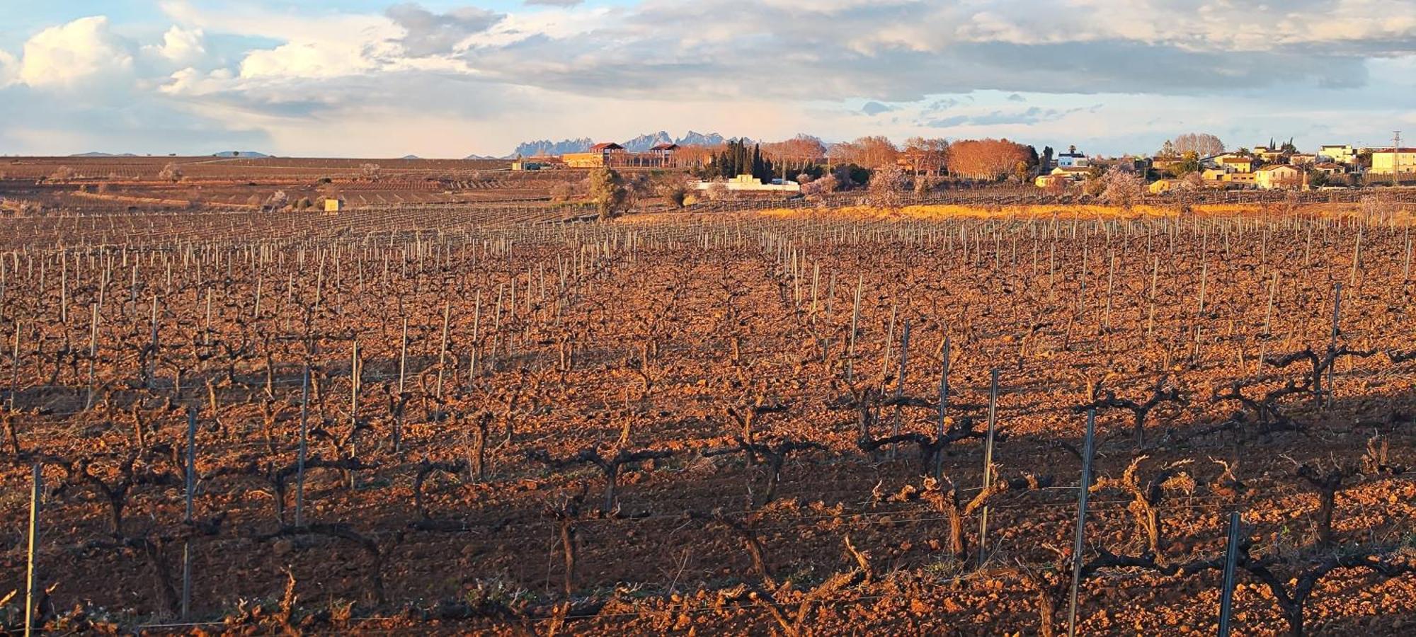 Cal Llop Villa Sant Cugat de Sesgarrigues Buitenkant foto